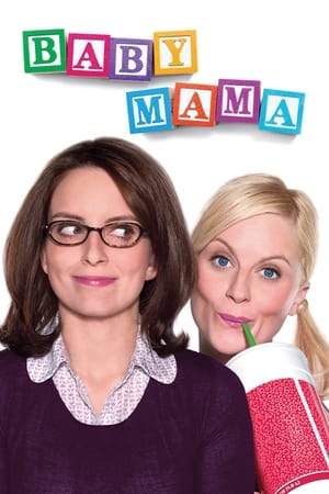 Baby Mama (2008) Hindi Dual Audio 300MB Movie Poster
