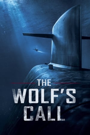 Call (2020) Hindi Dual Audio [1.1GB] Movie Poster