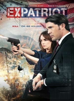 ExPatriot 2017 Hindi Dual Audio 300MB Movie Poster