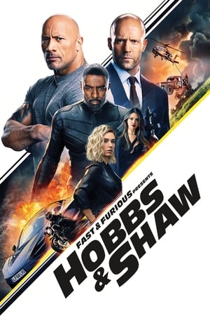 Fast & Furious 9 (2021) Hindi Dual Audio 450MB Movie Poster
