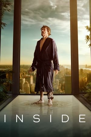 Inside (2023) Hindi Dual Audio – Movie Poster