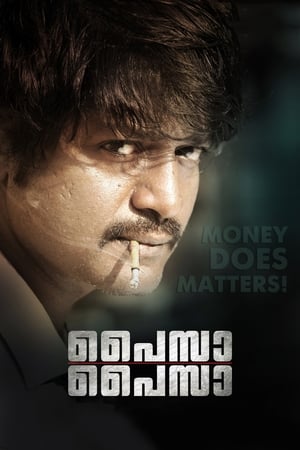 Paisa 2013 Dual Audio Hindi 430MB Movie Poster