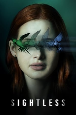 Sightless 2020 Hindi Dual Audio 300MB Movie Poster