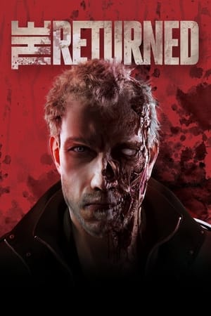 The Returned 2013 Dual Audio Hindi Full Movie - 900MB Movie Poster