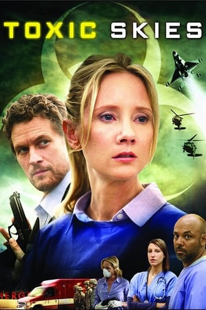 Toxic Skies 2008 Hindi Dual Audio 300MB Movie Poster