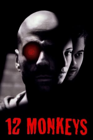 Twelve Monkeys (1995) Hindi Dual Audio Movie - 880MB Movie Poster