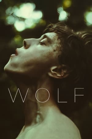 Wolf (2021) Hindi Dual Audio – Movie Poster